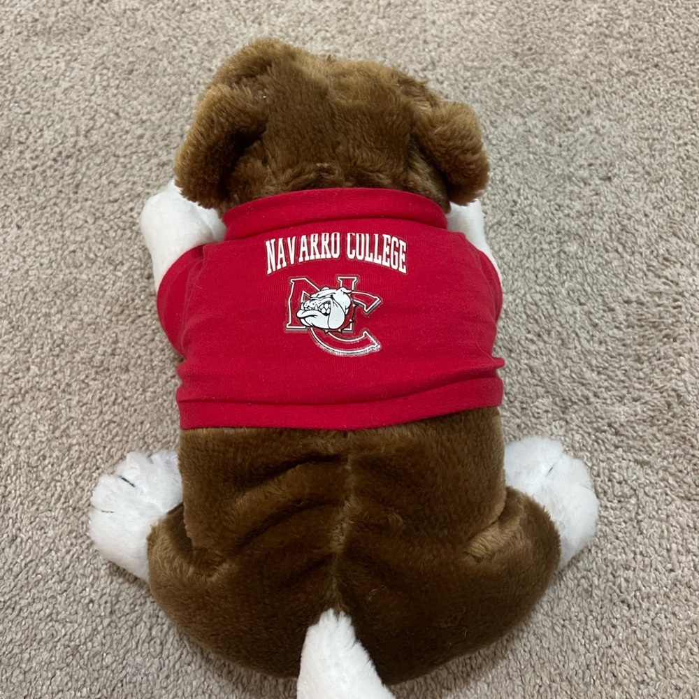NAVARRO COLLEGE DOG (CHEER FROM NETFLIX)